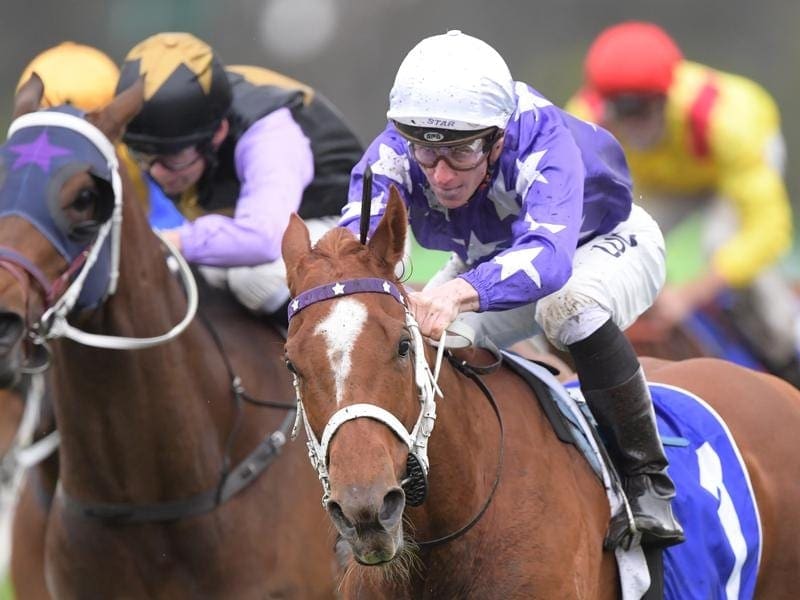 Velocita (r) has a strange walking action but it does not stop her when it comes to racing. velocita