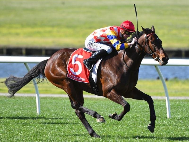 The Tony Noonan-trained Annarbor has posted her second win in four days with victory at Sandown. Annarbor wins at Sandown.