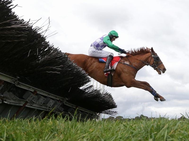 Master Poet has given fledgling trainer Amy Mcdonald an important victory at Sandown. master poet