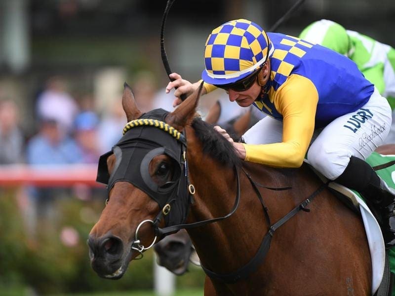 The Dan McCarthy-trained Ashlor returns to his favourite track for the Carlyon Stks at The Valley. ashlor