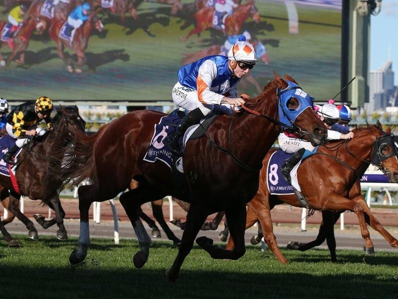 Promising Twilight Run will have his spring program sorted after running at The Valley. Twilight Run.