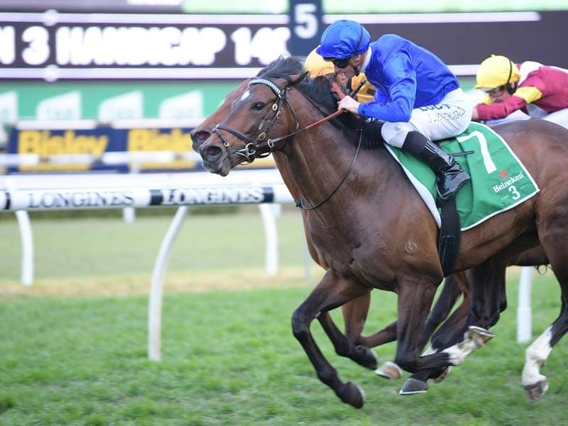 Best Of Days will be ridden by Nash Rawiller when the Godolphin galloper resumes in the Winx Stakes. Best Of Days resumes racing in the Winx Stakes.