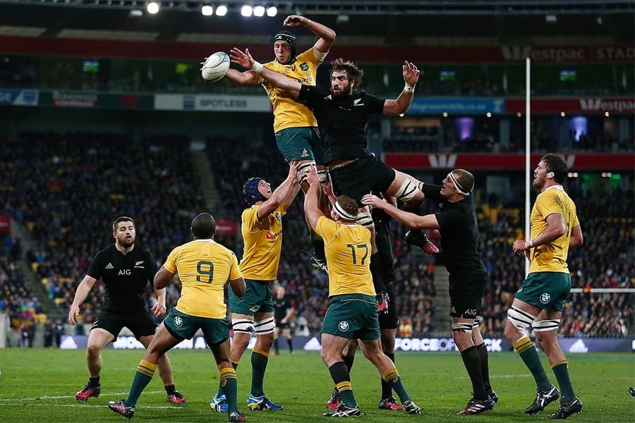 All Blacks Vs Wallabies Betting Preview 2019 Bledisloe Cup