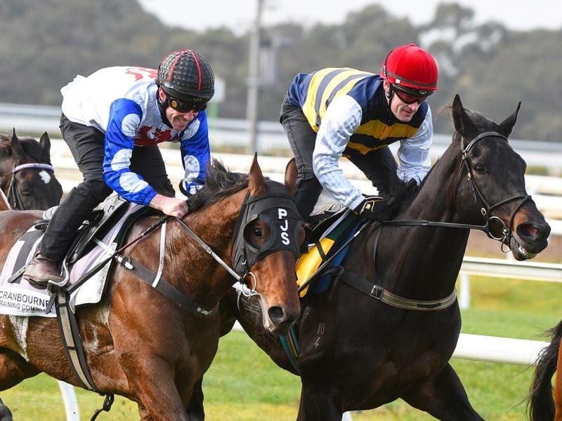 Harbour Views (R) will be out to confirm a trip to Perth for G1 races when he runs at Caulfield. Jockey Mark Zahra rides Harbour Views