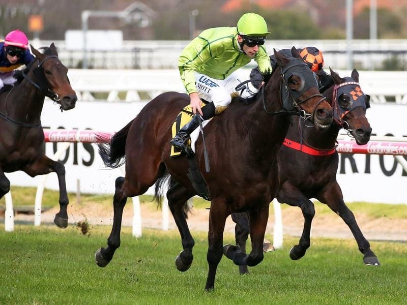 Self Sense has been ruled out of Caulfield but trainer David Brideoaks says it is a minor setback. self sense