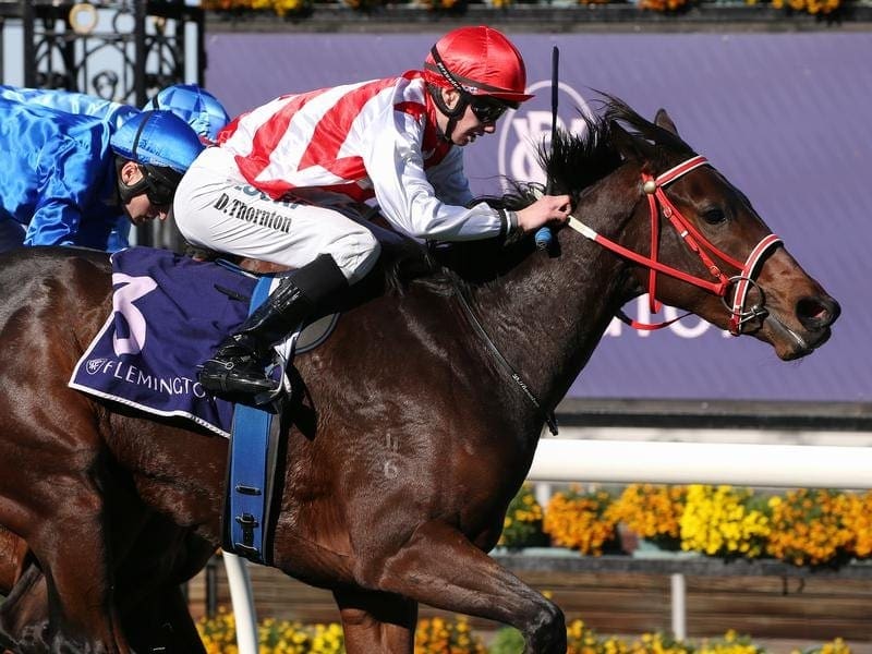 St Edward's Crown carries Shane Fliedner's hopes of a Group win in the Thousand Guineas Prelude. st edward's crown