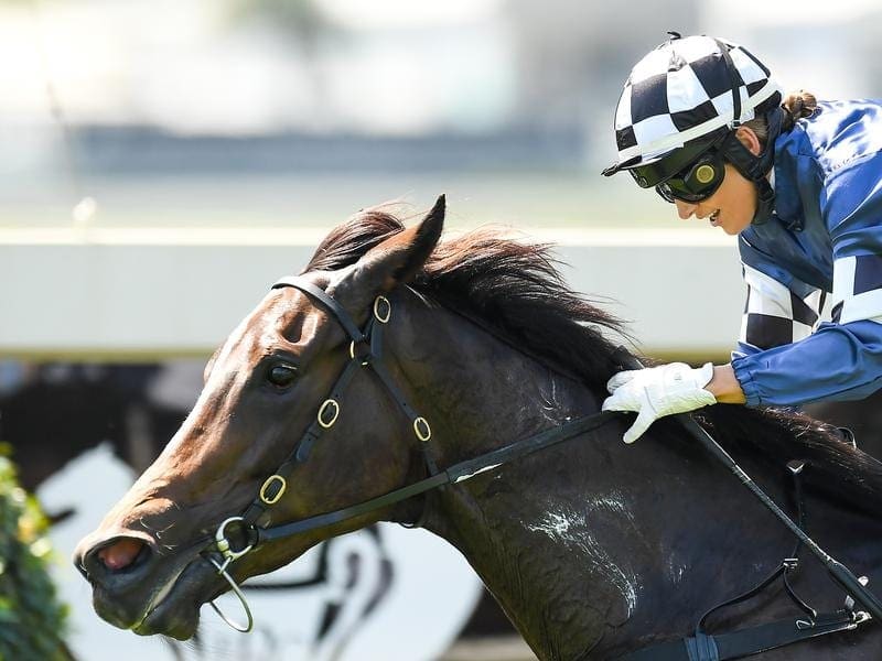 Jockey Tegan Harrison has made the most of a late booking to win on Highway at Doomben. Tegan Harrison rides Highway to victory at Doomben.