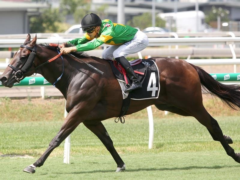 Snoopyis set to race at Eagle Farm.