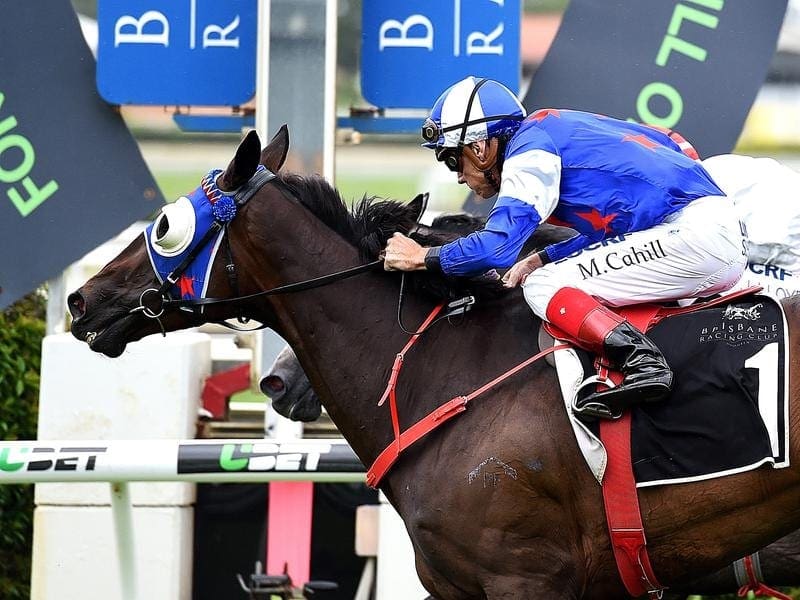 Michael Cahill rides Morendi at Eagle Farm to cap a busy week in both NSW and Queensland. morendi