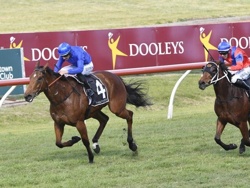 Star mare Alizee (l) has won a Randwick barrier trial to remain in the mix for an Everest slot. alizee