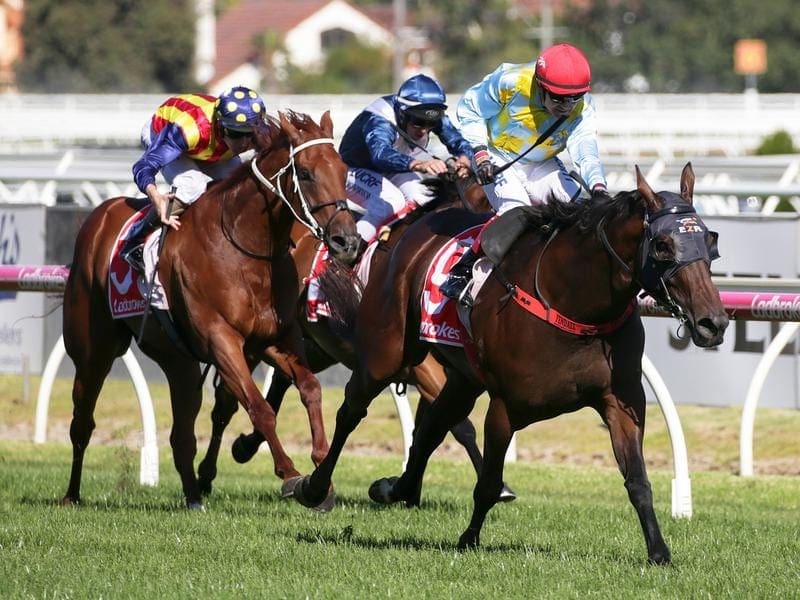 Oakleigh Plate winner Booker is ready to resume in the McEwen Stakes at The Valley. booker