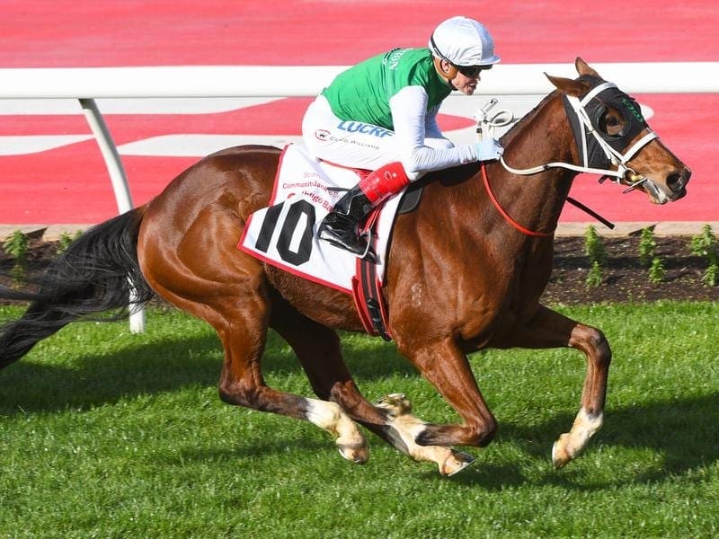 Trainer Scott Brunton has changed plans with The Inevitable who will target Sydney not Melbourne. the inevitable