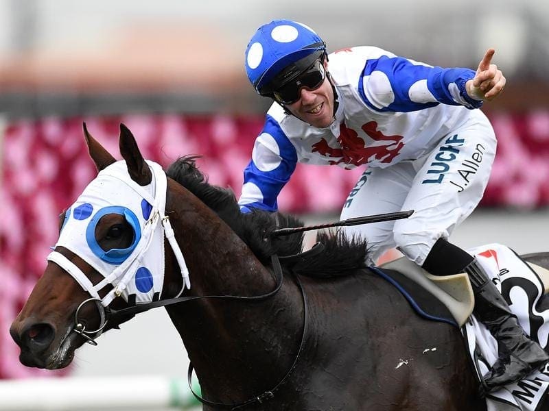 Queensland Derby winner Mr Quickie has had a gallop at The Valley with Cox Plate among his options. mr quickie