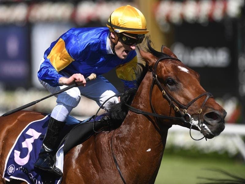 Santa Ana Lane's return has been delayed because of teh wet Randwick track for The Shorts. santa ana lane