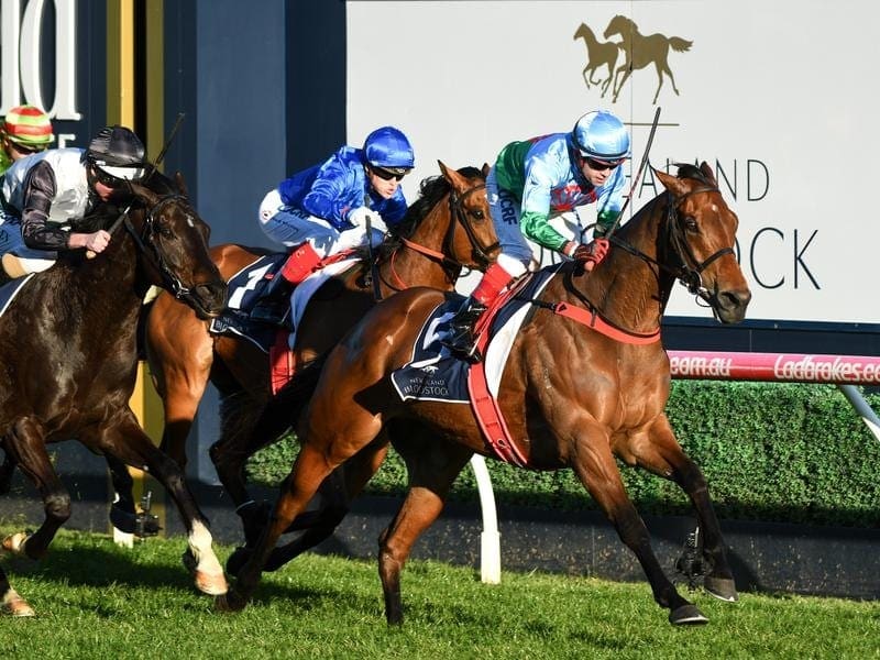 Memsie Stakes winner Scales of Justice will continue his campaign to include the G1 Makybe Diva. scales of justice