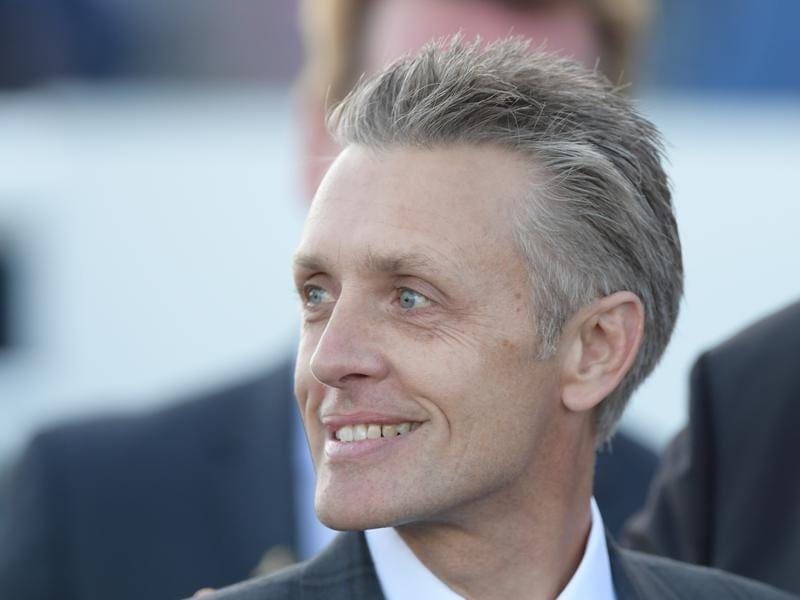 Trainer Mark Newnham is looking to Scarlet Dream to step up in staying races this spring. mark newnham