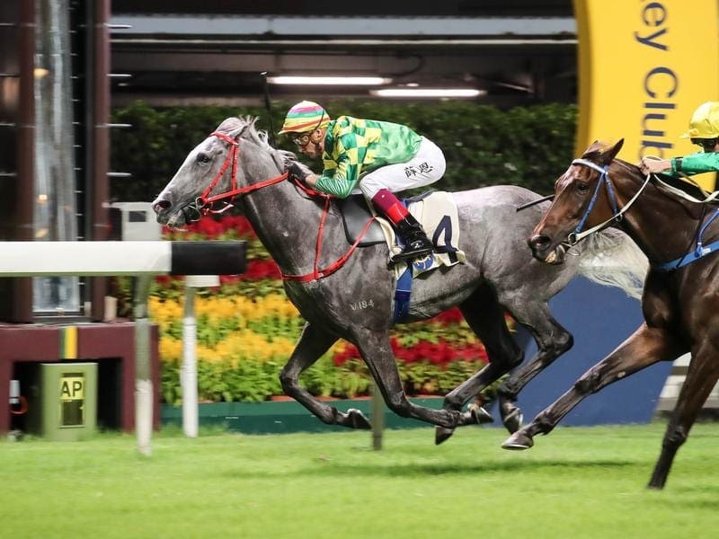 Australian jockey Blake Shinn has ridden his first winner in Hong Kong on Green Dispatch (grey). blake shinn/green dispatch (grey)