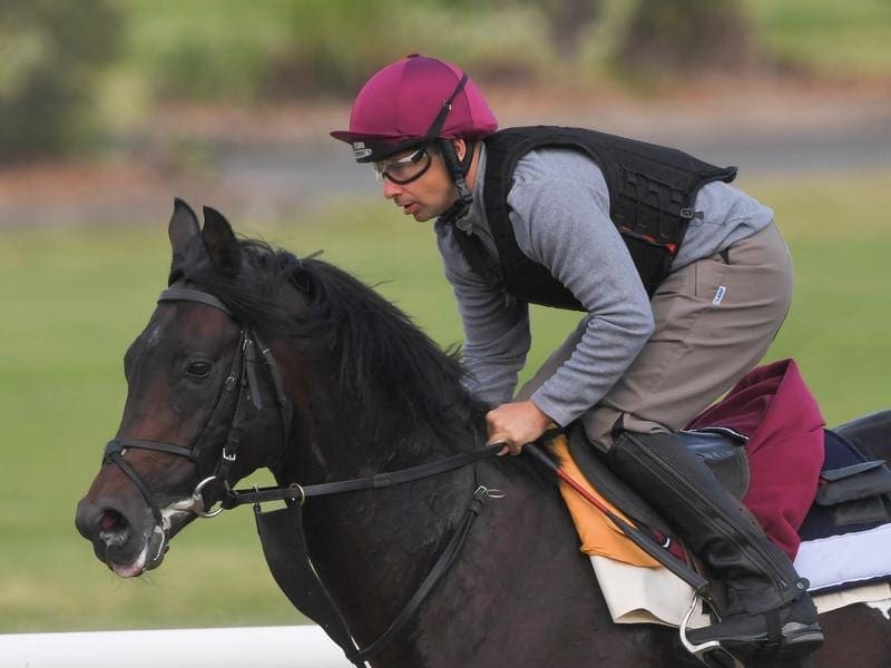 Irish Everest contender Ten Sovereigns has had a light work-out at Canterbury Racecourse. ten sovereigns