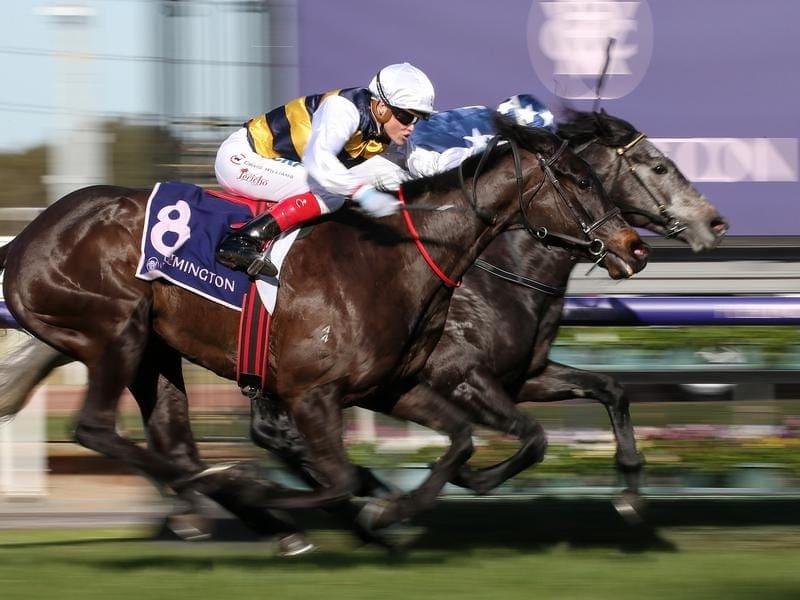 John F Feehan Stakes aspirant Beau Balmain (inside) was overhauled late at Flemington. beau balmain