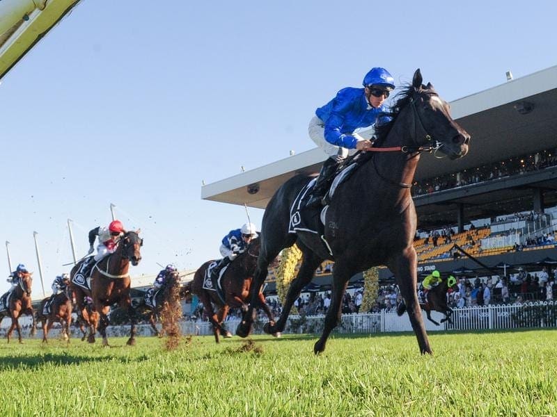 Avilius is favourite to win the George Main Stakes on what will be a heavy Randwick track. avilius