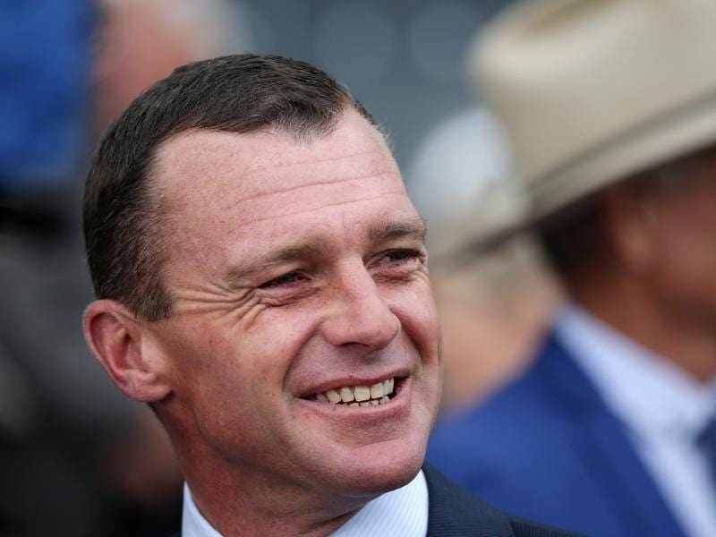Adam Trinder is confident Mystic Journey is up for her next challenge in the Makybe Diva Stakes. Adam Trinder trains Mystic Journey.
