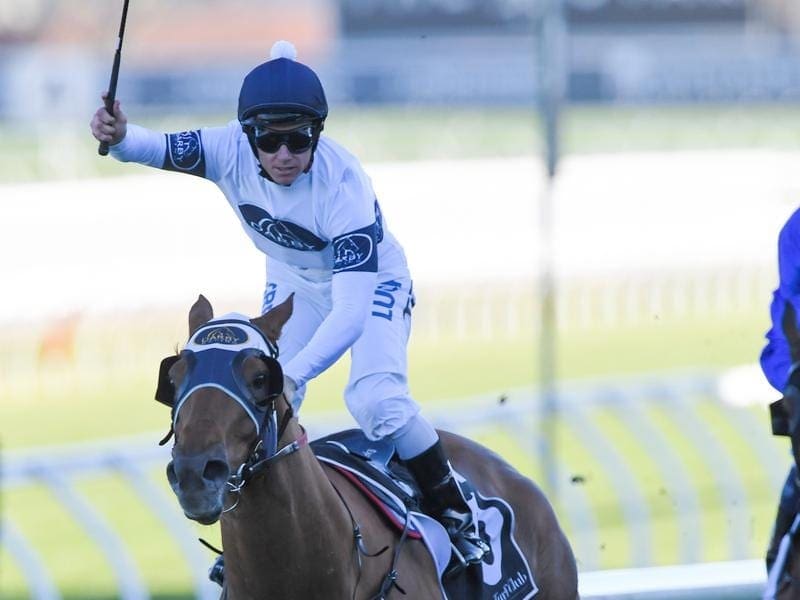 Trainer Bjorn Baker believes Samadoubt can repeat his Winx Stakes triumph in the Chelmsford. samadoubt