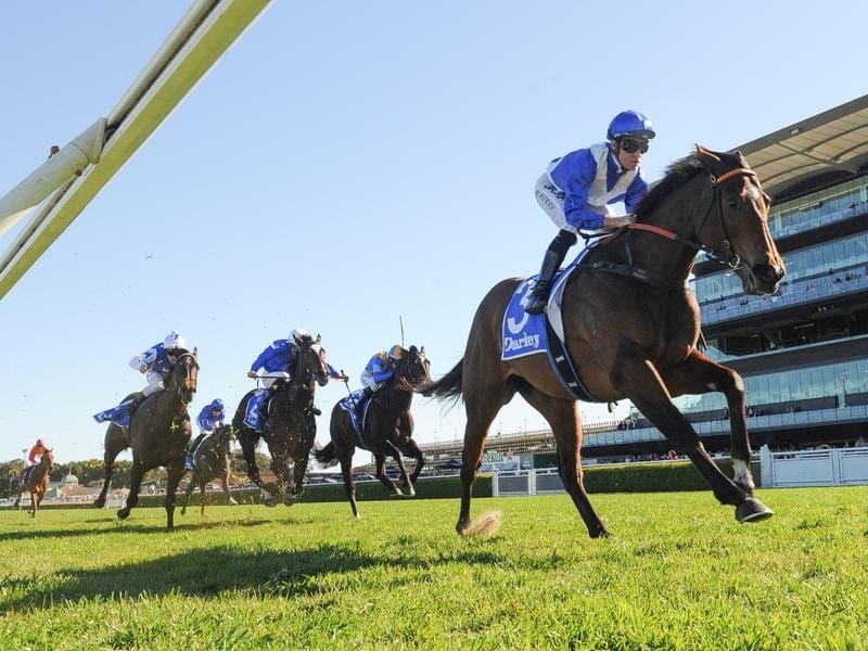Star filly Libertini carries the weight of expectation into the Furious Stakes at Randwick. libertini