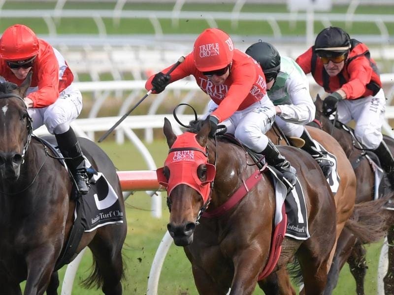 Redzel (r) will attempt to win his third Concorde Stakes on the way to a third Everest victory. redzel