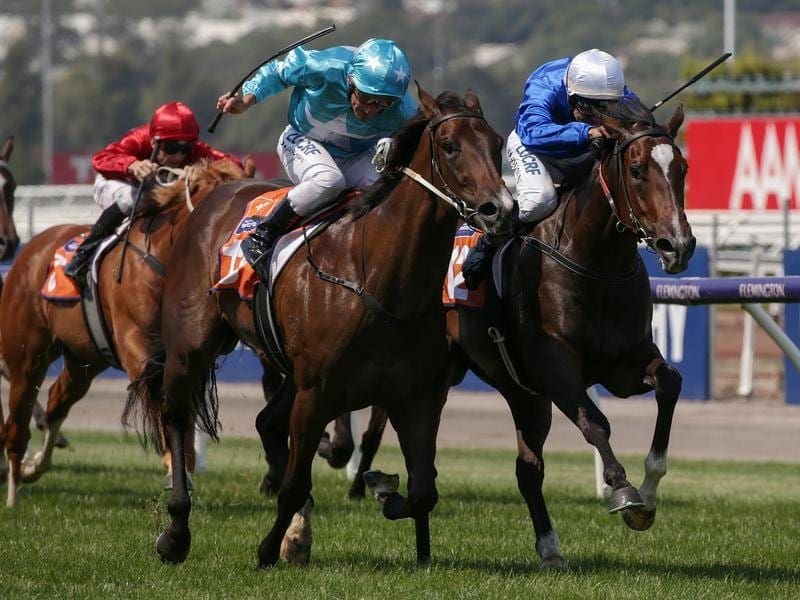 Jockey Tim Clark is thrilled to get teh call-up on Flit (right) in the Tea Rose Stakes at Caulfield. flit