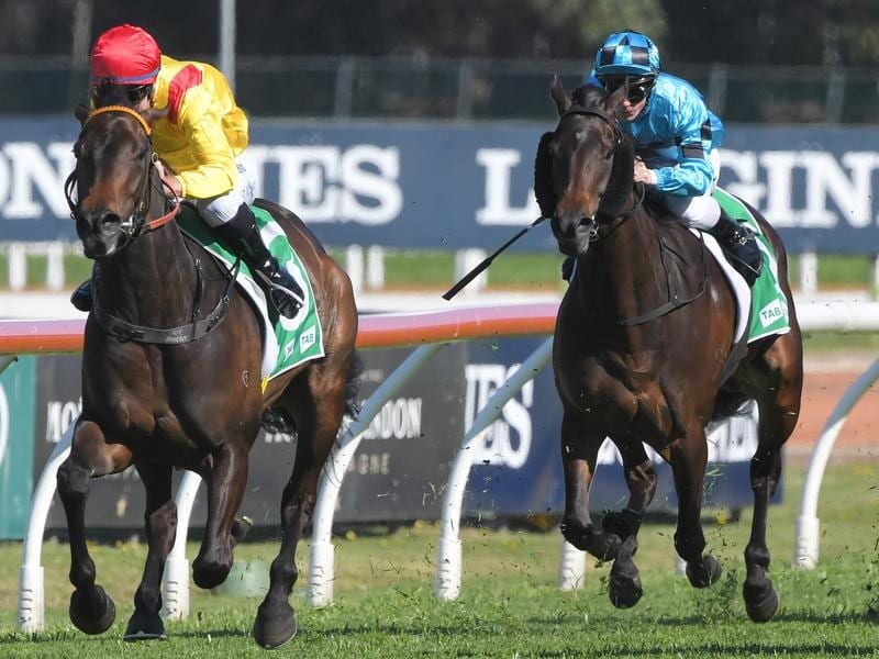 Tommy Berry rides Mizzy to victory in race 5 at Rosehill