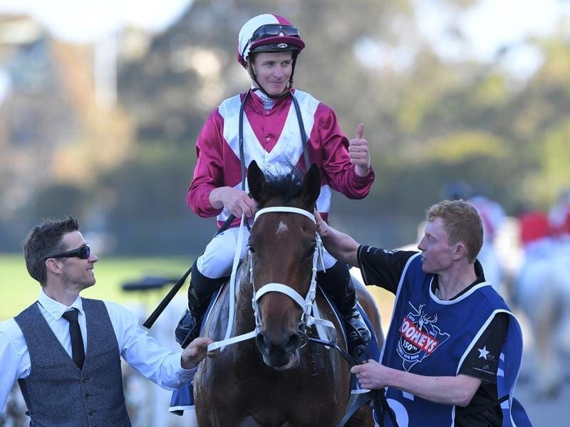 Former Perth mare Arcadia Queen has made a winning eastern states debut in the Theo Marks Stakes. Arcadia Queen returns to scale after winning the Theo Marks Stakes.