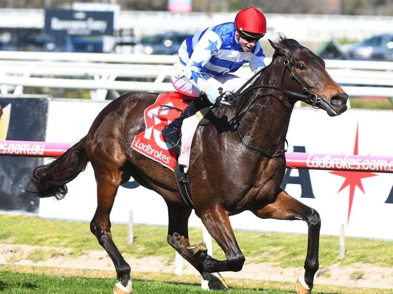Jye McNeil rides Super Titus to victory in the Heatherlie Stakes