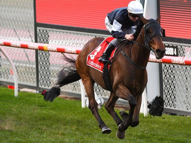 Homesman has drawn the outside barrier for his title defence in the Group One Underwood Stakes. Ben Melham rides Homesman