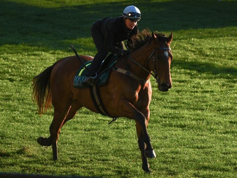 Faatinah will be out to enhance his already good first-up record in the McEwen Stakes at The Valley. faatinah