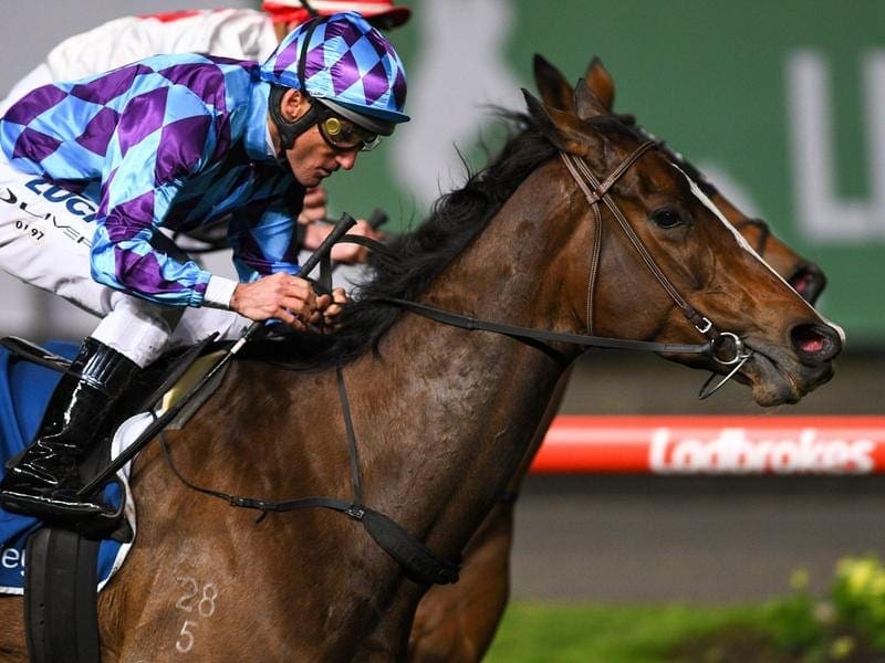 Princess Jenni has made a winning return to The Valley in the Stocks Stakes. princess jenni
