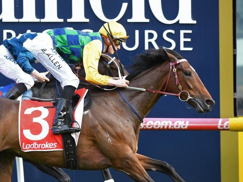Trainer Mick Price believes equestrian training will help Lucky For All with his racing manners. lucky for all