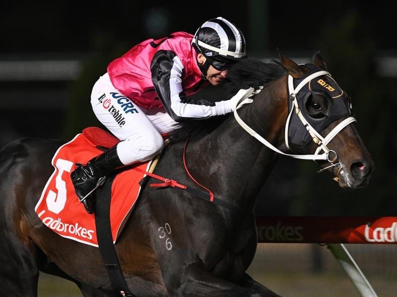 The Holy One has earned a tilt at the Group One Caulfield Guineas with his win in the Stutt Stakes. the holy one