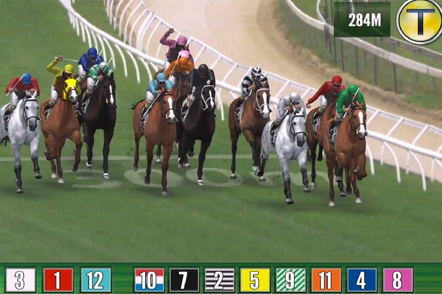 Trackside virtual horse racing