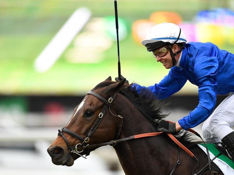 Godolphin sprinter Trekking is favourite to make a winning return in the Schillaci Stakes. Trekking wins the Stradbroke Handicap.