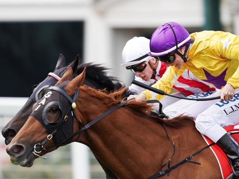 Caulfield Cup runner Wolfe remains well down the Melbourne Cup order of entry. Wolfe wins the Coongy Cup at Caulfield.