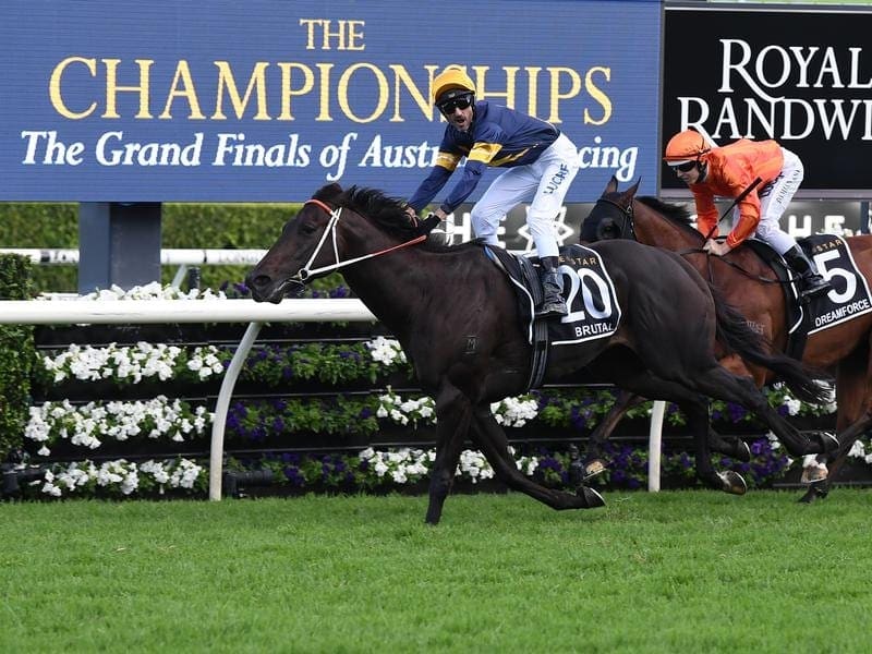 Doncaster Mile winner Brutal is primed to kick off his Golden Eagle campaign in the Premiere Stakes. brutal