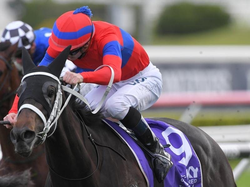Verry Elleegant has regained her standing as a major spring contender with a Hill Stakes win. Verry Elleegant wins the Hill Stakes at Randwick.