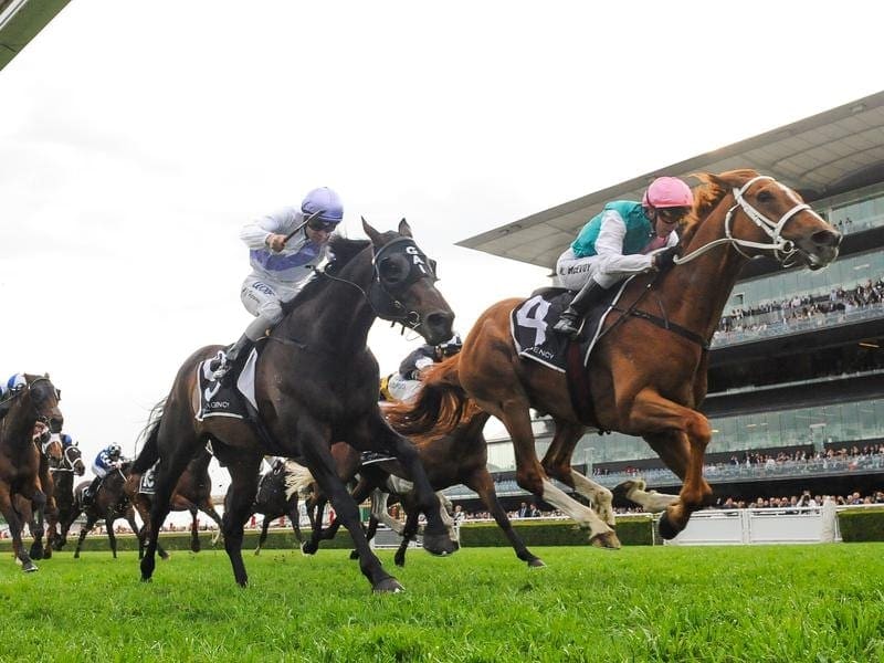 Leading Melbourne Cup contender Finche (r) runs in the Turnbull Stakes as part of his build-up. finche