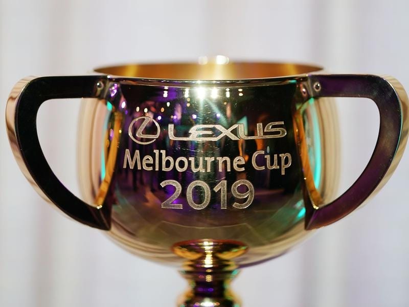 The 2019 Melbourne Cup trophy (file image)