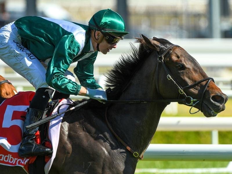 A fresh All Too Royal was too strong for his rivals in the Christmas Stakes at Caulfield. Jye McNeil rides All Too Royal to victory