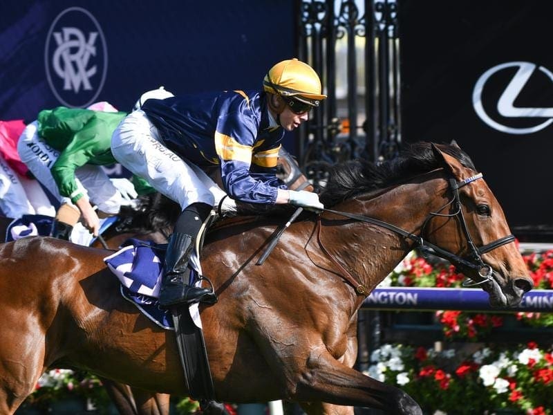 Import Aktau created an immediate impression with an Australian debut win at Flemington. Aktau wins at Flemington.