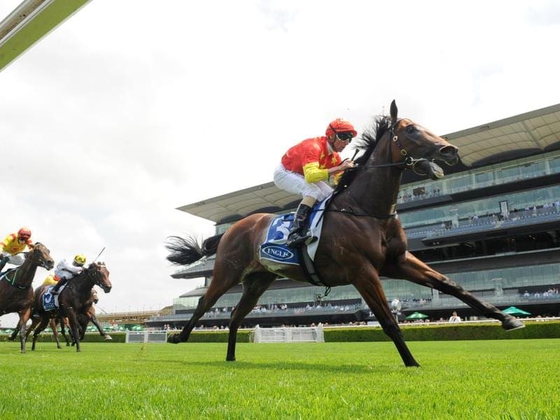 Zahra to replace Rawiller aboard Rulership Betting Site