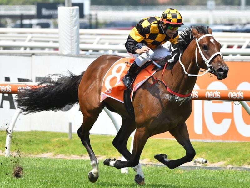 Letzbeglam is rated one of the best hopes in the Blue Diamond Stakes.