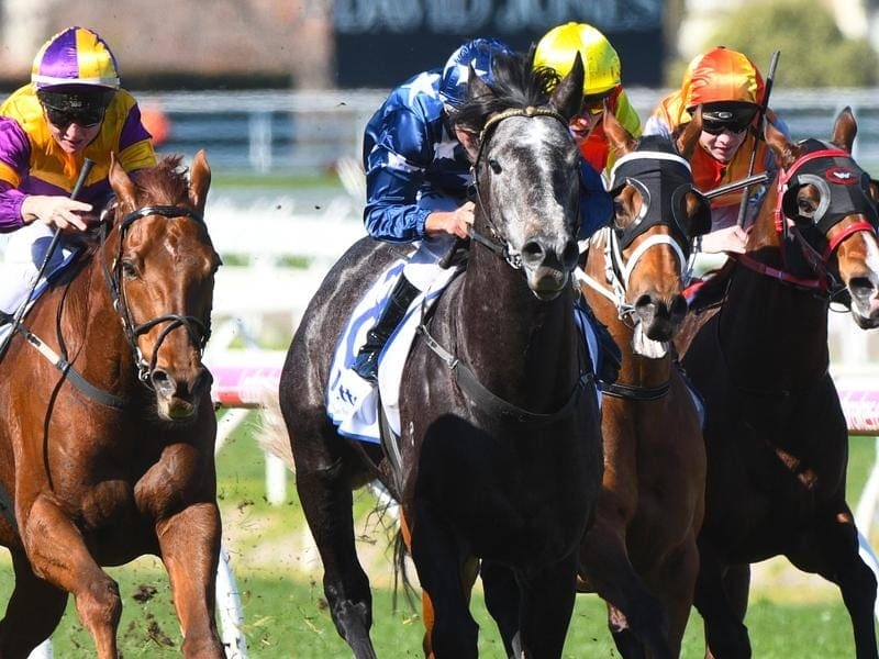 Linda Meech rides Guizot to victory at Caulfield