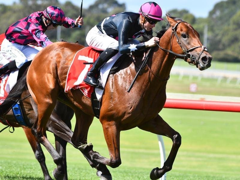 Jye McNeil rides Unanimous in the Ladbrokes Back Yourself Handicap